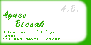 agnes bicsak business card